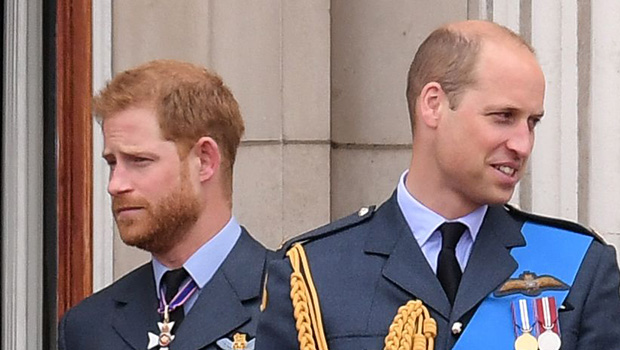 Prince Harry Upset Prince William Ignored Him During Elizabeth’s Death ...