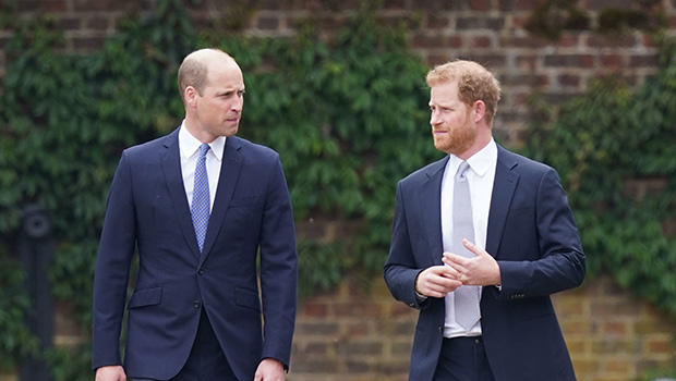 Prince William And Prince Harry’s Rift Deepens, Says Author – Hollywood ...