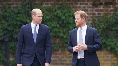 prince william, prince harry