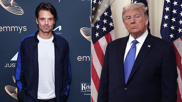 Sebastian Stan to Play Donald Trump in New Film 'The Apprentice'
