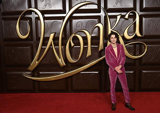 Timothee Chalamet Reveals if He Asked Johnny Depp for ‘Wonka’ Advice