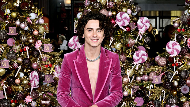 Timothee Chalamet Goes Shirtless in a Velvet Pink Suit at the London ‘Wonka’ Premiere