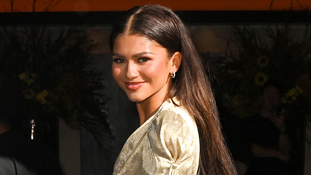 Zendaya Rocked Mid Rise Jeans & You Can Get a Similar Pair for 30% Off