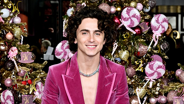 Timothee Chalamet Reveals Birthday Plans Amid Kylie Jenner Romance: Watch