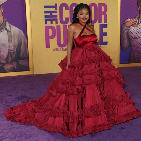 ‘The Color Purple’ Movie Premiere Photos: Oprah, Halle Bailey and More