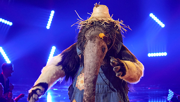 The Masked Singer' reveals Anteater as rocker John Oates