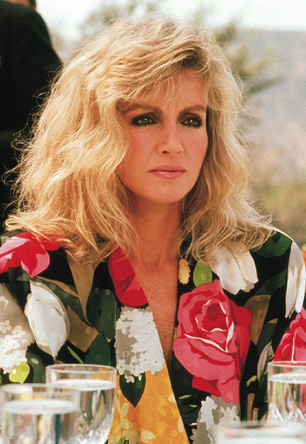 Donna in ‘Knots Landing’ in the 1980s