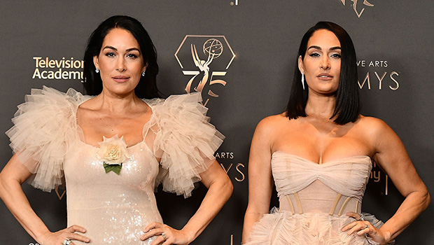 Nikki & Brie Garcia React to Sexual Assault Claims Against Vince McMahon & Stepdad: ‘We Are Shocked’