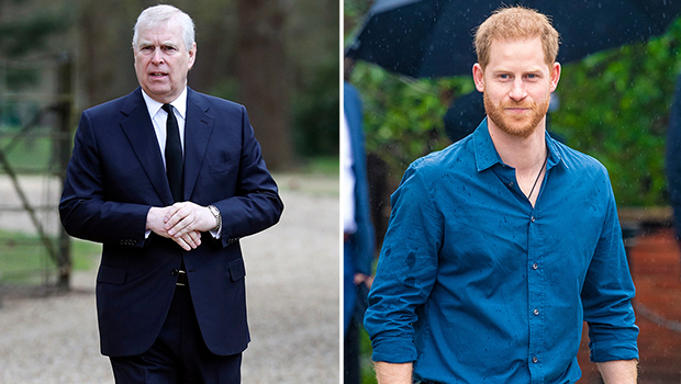 Prince Harry and Prince Andrew Quietly Barred From Counsellor of State Roles Amid King Charles’ Medical Procedure