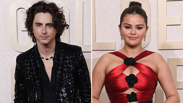 Timothee Chalamet Selena Gomez