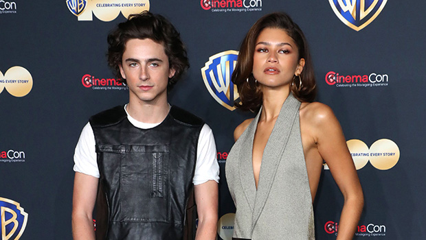 Timothee Chalamet Gushes Over His ‘Strong Friendship’ With Zendaya in Cute BTS Video From ‘Dune 2’ Set