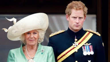 Queen Camilla and Prince Harry