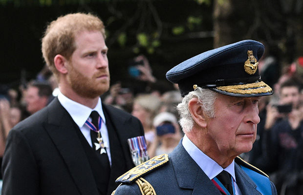 Prince Harry and King Charles