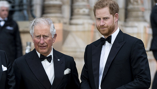 Prince Harry would be willing to return to royal duties if asked by King Charles following his cancer diagnosis