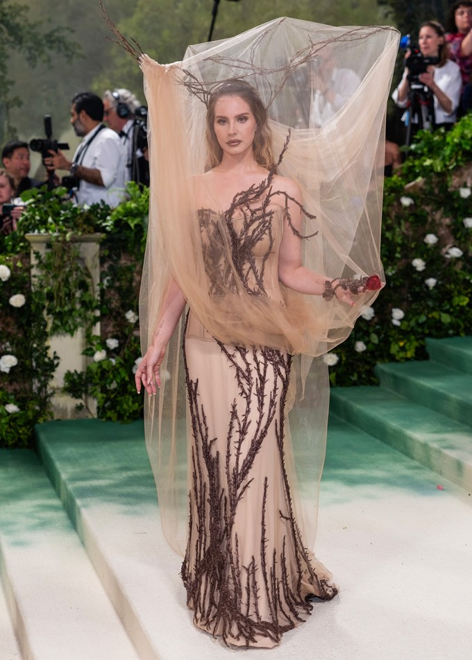 Met Gala Red Carpet 2024: Photos of Celebrity Arrivals1