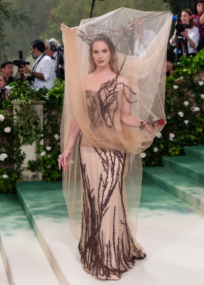 Met Gala 2024 Best Dressed: Photos of Celebrity Outfits10