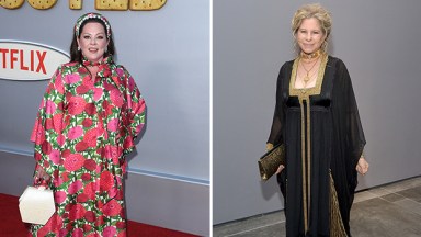 melissa mccarthy, barbra streisand