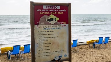 A warning sign about the danger of sharks is standing on the beach in the neighborhood of Boa Viagem, Recife, Pernambuco, Brazil, on January 27, 2024. (Photo by Emmanuele Contini/NurPhoto via Getty Images)