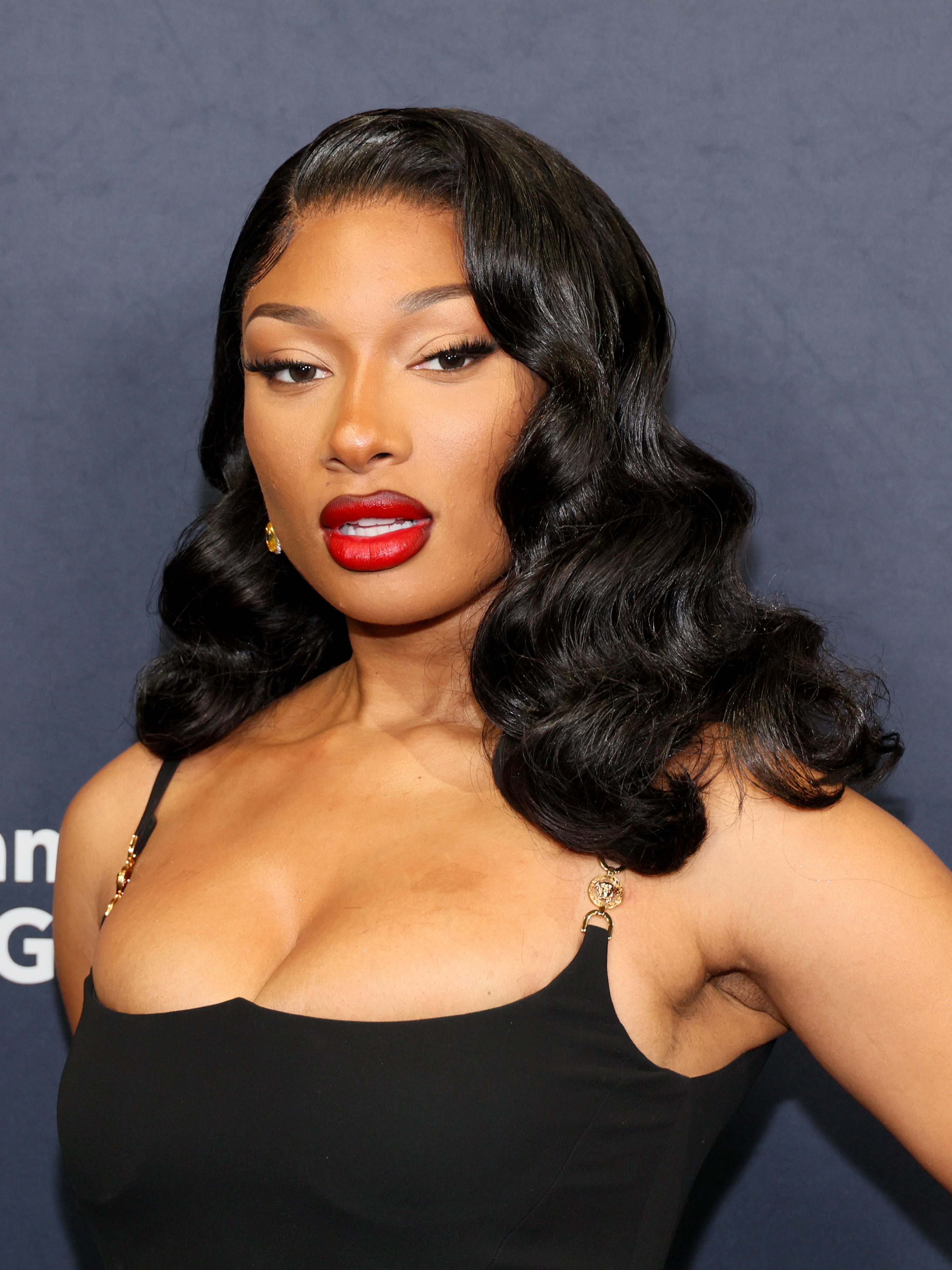 NEW YORK, NEW YORK - APRIL 16: Megan Thee Stallion attends the 2024 Planned Parenthood Of Greater New York Gala on April 16, 2024 in New York City. (Photo by Dia Dipasupil/Getty Images)