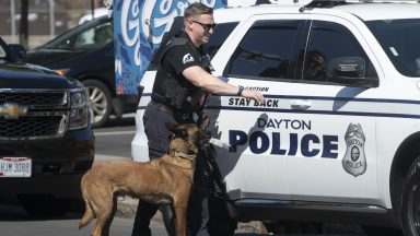 Policjant z Dayton i jego pies wracają do swojego pojazdu po przeszukaniu terenu ratusza w Springfield w poszukiwaniu materiałów wybuchowych po tym, jak wcześniej tego samego dnia w Springfield w stanie Ohio 12 września 2024 r. pojawiły się groźby podłożenia bomby w budynkach. Budynek rządowy i szkoła zostały ewakuowane po rzekomym zagrożeniu podłożenia bomby w czwartek w Springfield w stanie Ohio, podały lokalne media, wstrząsając małym miastem w sercu antyimigracyjnej teorii spiskowej wzmocnionej przez Donalda Trumpa. Springfield znalazło się w centrum uwagi w ostatnich dniach po tym, jak bezpodstawna historia o haitańskich migrantach zjadających zwierzęta domowe stała się popularna w mediach społecznościowych, a były prezydent Partii Republikańskiej i obecny kandydat na stanowisko Białego Domu promował tę narrację, mimo że została obalona. (Zdjęcie: ROBERTO SCHMIDT / AFP) (Zdjęcie: ROBERTO SCHMIDT/AFP via Getty Images)