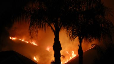 The Airport Fire burns on a hill beyond palm trees on September 9, 2024 in Trabuco Canyon, California.