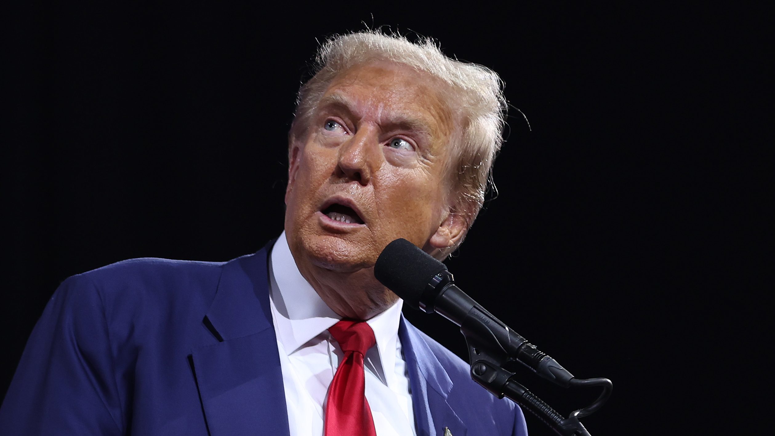 Did Donald Trump Get Shot Again? Inside Second Assassination Attempt – Hollywood Life Did Donald Trump Get Shot Again? Inside Second Assassination Attempt – Hollywood Life