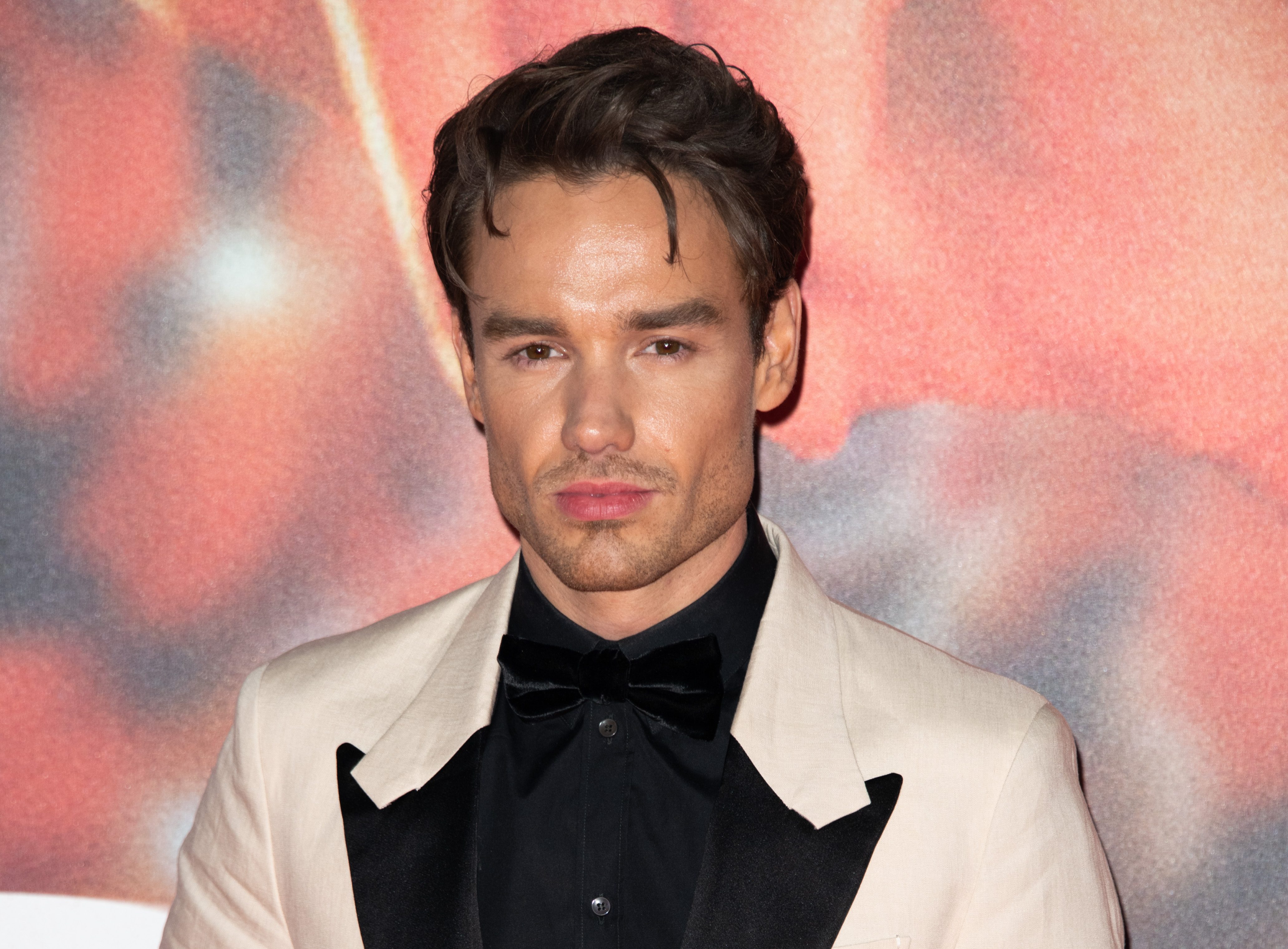 Were Liam Payne and Diddy friends?