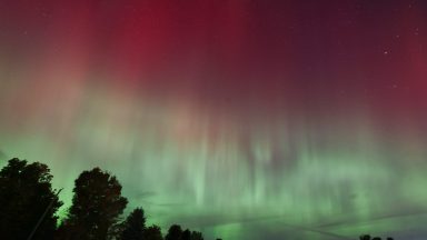 Will the Northern Lights Be Visible Friday Night?