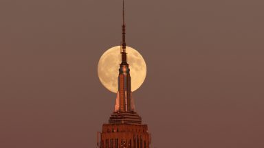 JERSEY CITY, NJ - 16 PAŹDZIERNIKA: Supermoon Huntera wschodzi za Empire State Building w Nowym Jorku wraz z zachodem słońca 16 października 2024 r., jak widać z Jersey City w stanie New Jersey. (Zdjęcie: Gary Hershorn/Getty Images)