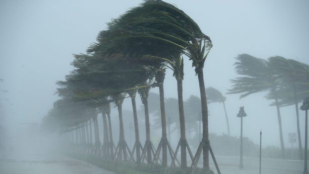 Trees bend in the tropical storm wind along North Fort Lauderdale Beach Boulevard as Hurricane Irma hits the southern part of the state September 10, 2017 in Fort Lauderdale, Florida. The powerful hurricane made landfall in the United States in the Florida Keys at 9:10 a.m. after raking across the north coast of Cuba. (Photo by Chip Somodevilla/Getty Images)