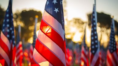 flags veterans day