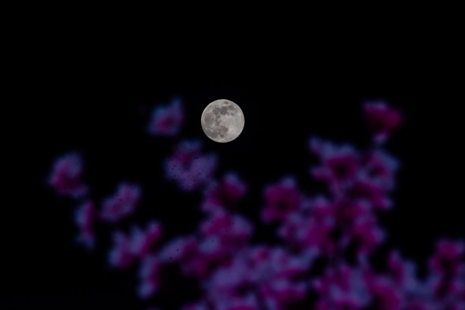 Beaver Moon in India