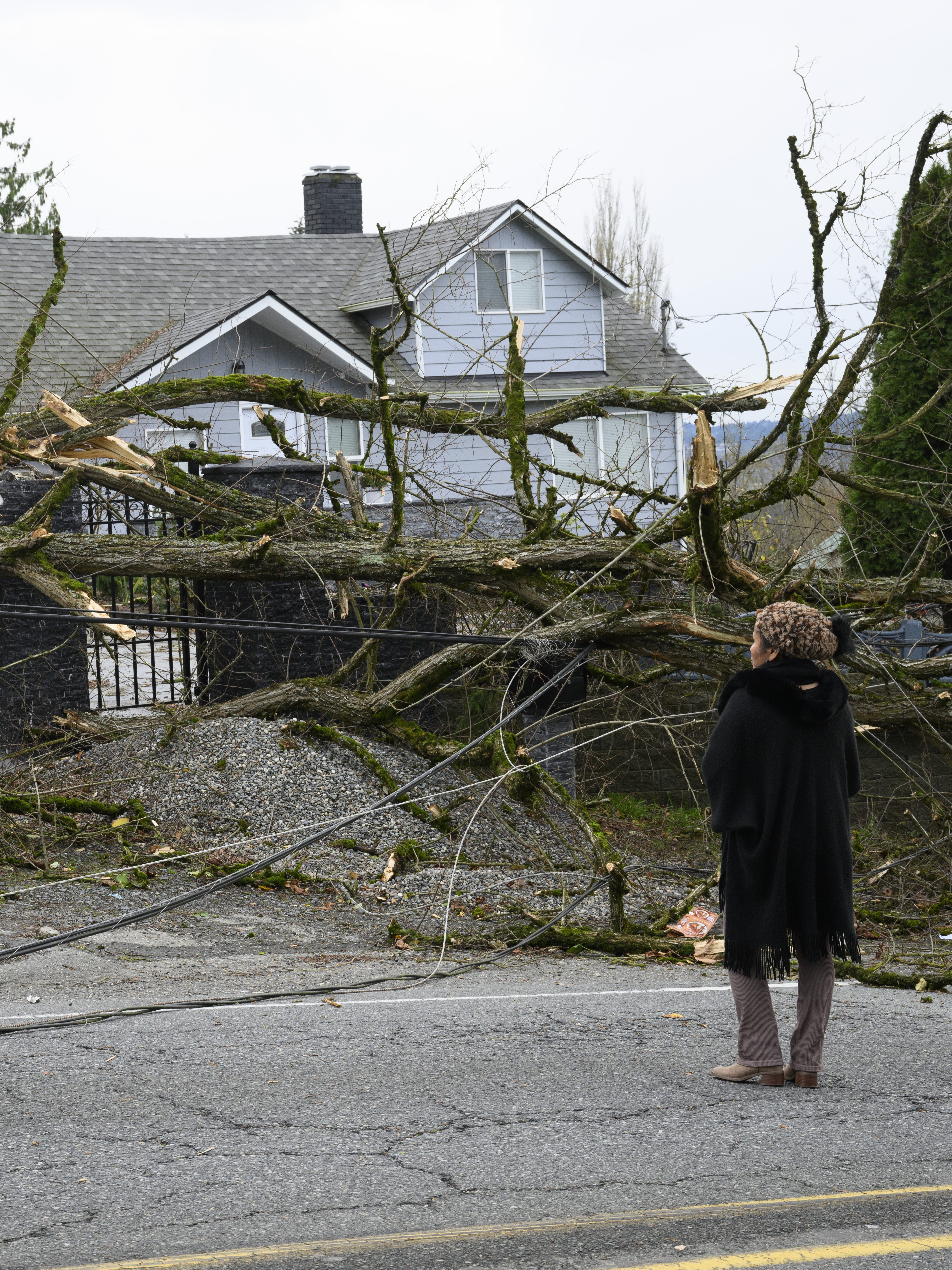 LAKE STEVENS, WASHINGTON - NOVEMBER 20: Resident Tiffani Palpong stands in front of her property where her 20 year-old son Logan was still trapped by downed power lines and trees on November 20, 2024 in Lake Stevens, Washington. A rare storm referred to as a "bomb cyclone" recorded 70mph wind gusts which knocked over trees and power lines, leaving nearly half a million residents throughout Washington state without electricity. (Photo by Mathieu Lewis-Rolland/Getty Images)