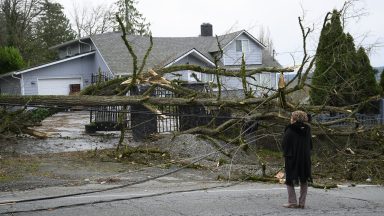  Resident Tiffani Palpong stands in front of her property where her 20 year-old son Logan was still trapped by downed power lines and trees on November 20, 2024 in Lake Stevens, Washington. A rare storm referred to as a "bomb cyclone" recorded 70mph wind gusts which knocked over trees and power lines, leaving nearly half a million residents throughout Washington state without electricity. (Photo by Mathieu Lewis-Rolland/Getty Images)