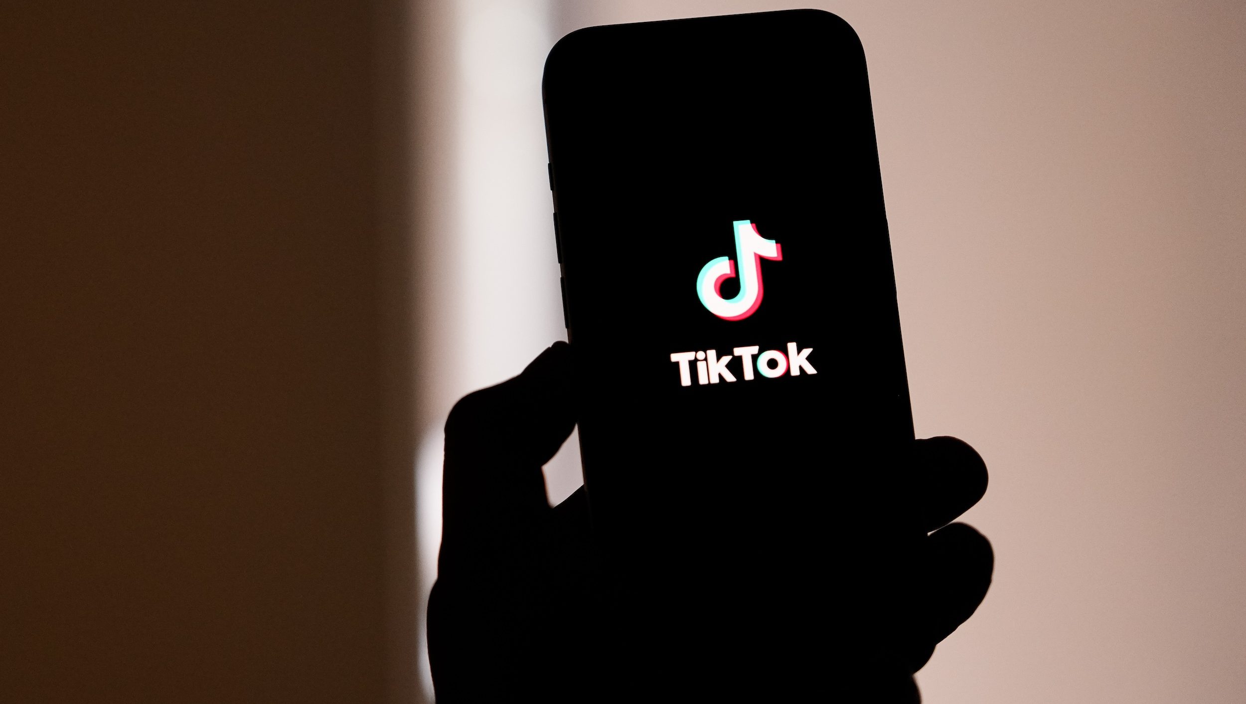 Was TikTok Banned? Latest Updates on the Potential U.S. Ban – Hollywood Life