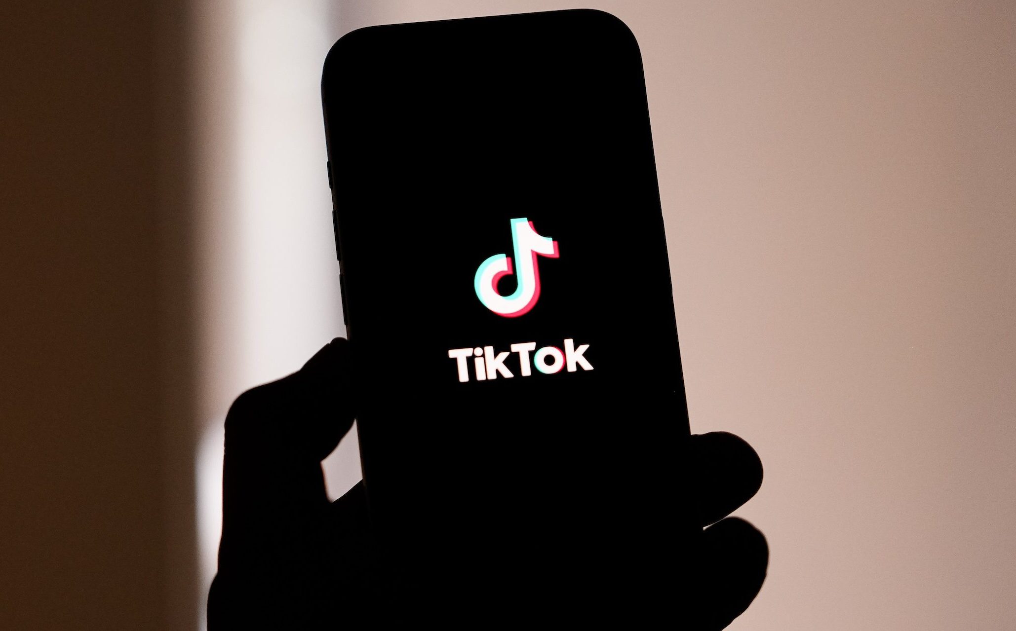 Is TikTok Coming Back? How to Use the App in the U.S. After the Ban – Hollywood Life