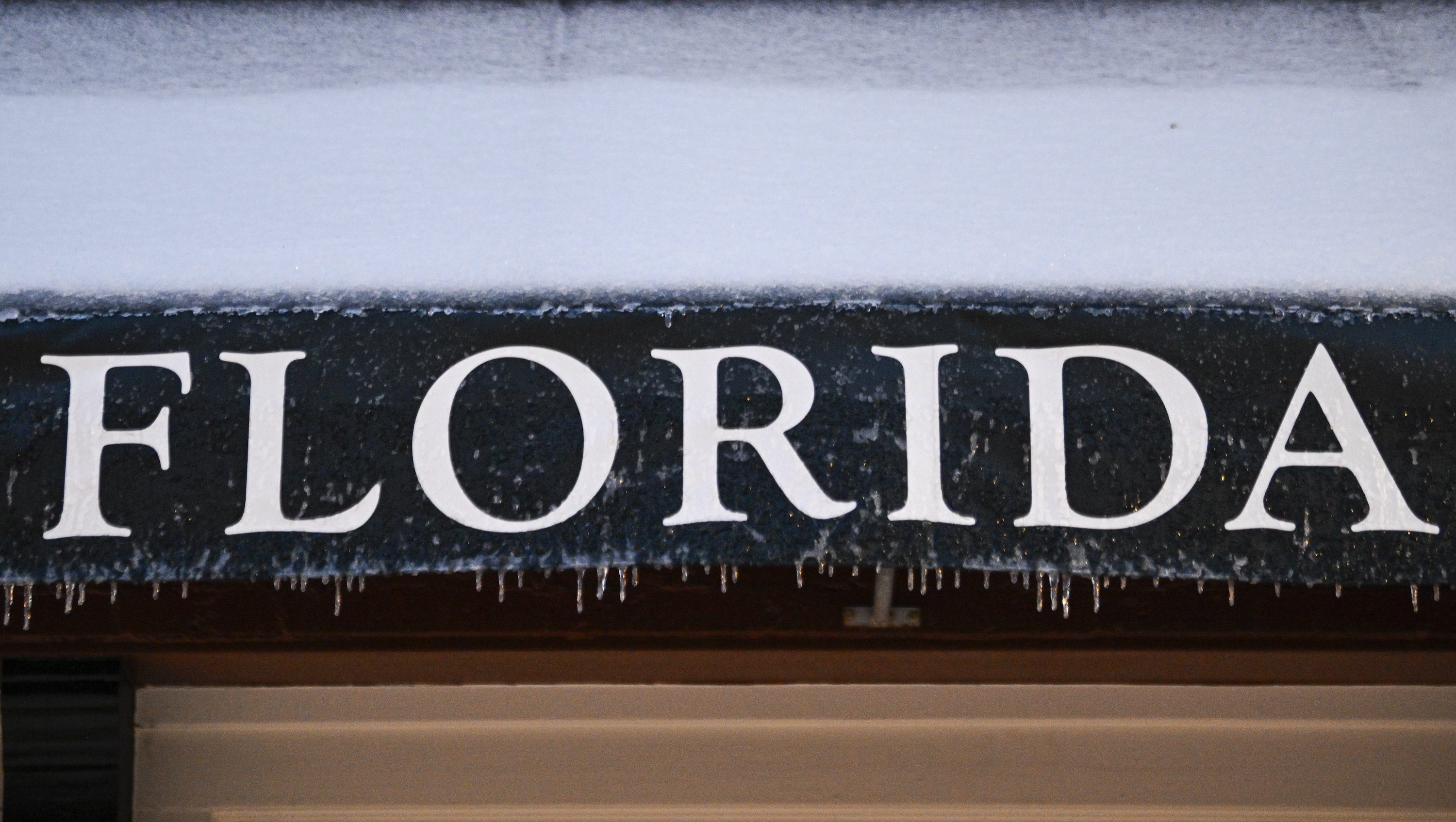 Did It Snow in Florida? Weather in Orlando, Jacksonville & More