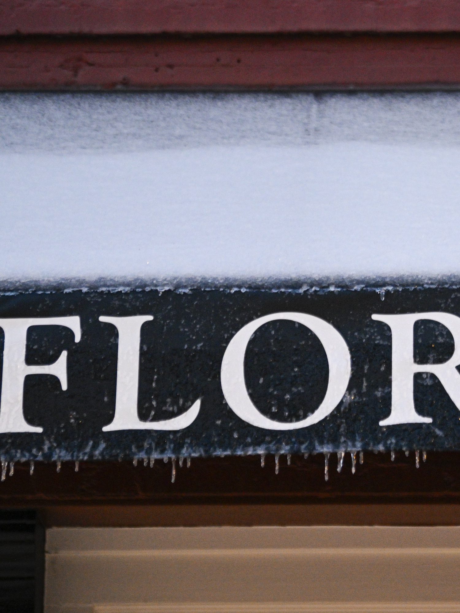 TALLAHASSEE, FLORIDA - JANUARY 22: A detail photo of' Florida' sign after snowfall on January 22, 2025 in Tallahassee, Florida. The National Weather Service has placed northern Florida under a winter storm warning and some are predicting the largest Gulf snow and ice storm in more than 100 years. (Photo by Miguel J. Rodriguez Carrillo/Getty Images)
