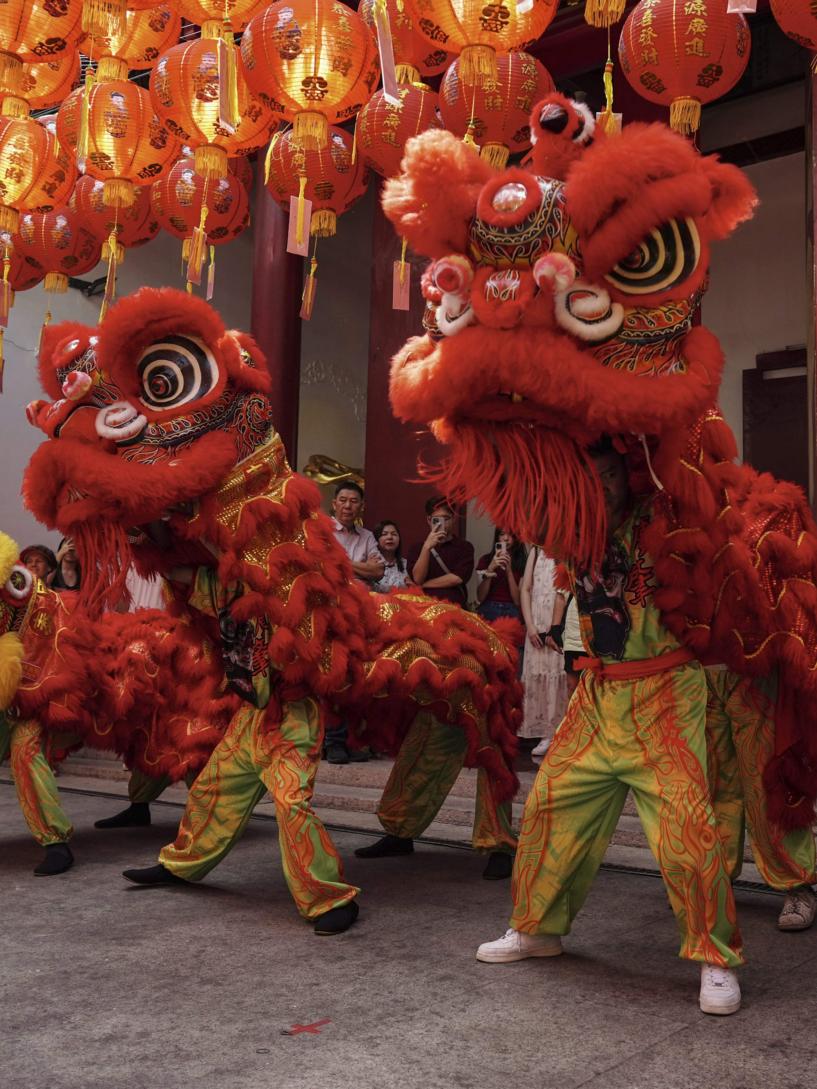 Chinese New Year Animals Based on Your Zodiac Sign