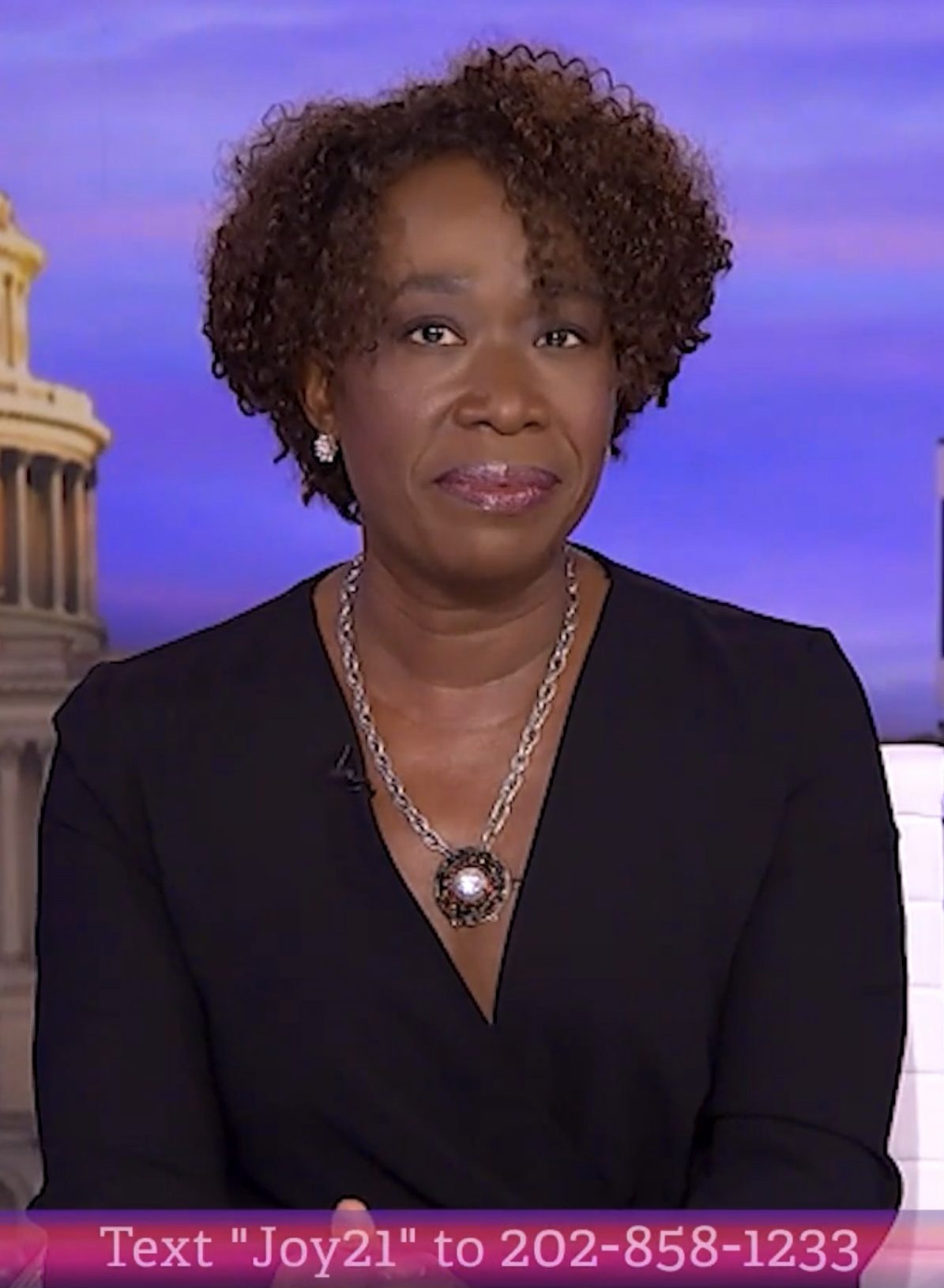 Joy Reid's Salary & Net Worth Under MSNBC: How Much Money She Has