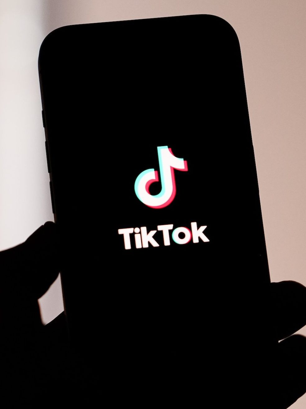 How Much Is TikTok Worth? See the App's Current Revenue