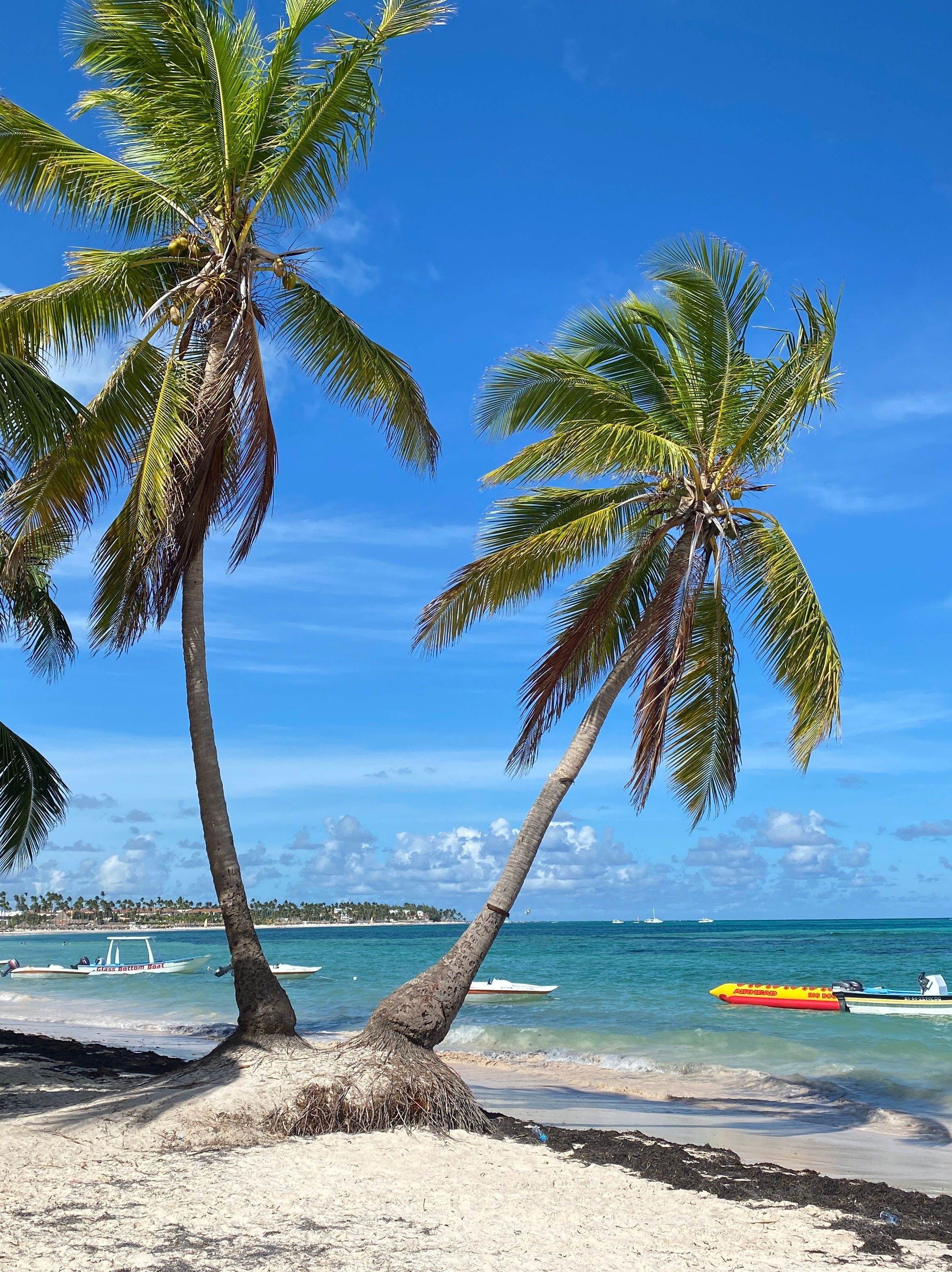 Missing Girl in Punta Cana Case: Updates on Student's Disappearance