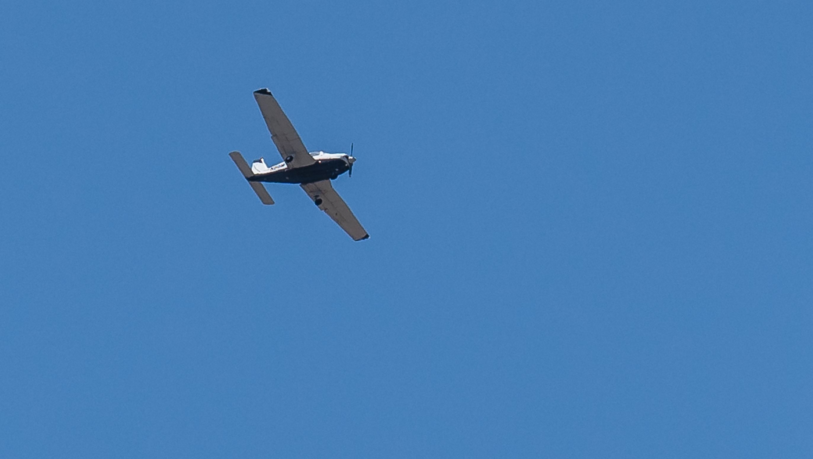 Dave Shapiro: About the STG Co-Founder Who Died in Plane Crash Dave Shapiro: About the STG Co-Founder Who Died in Plane Crash