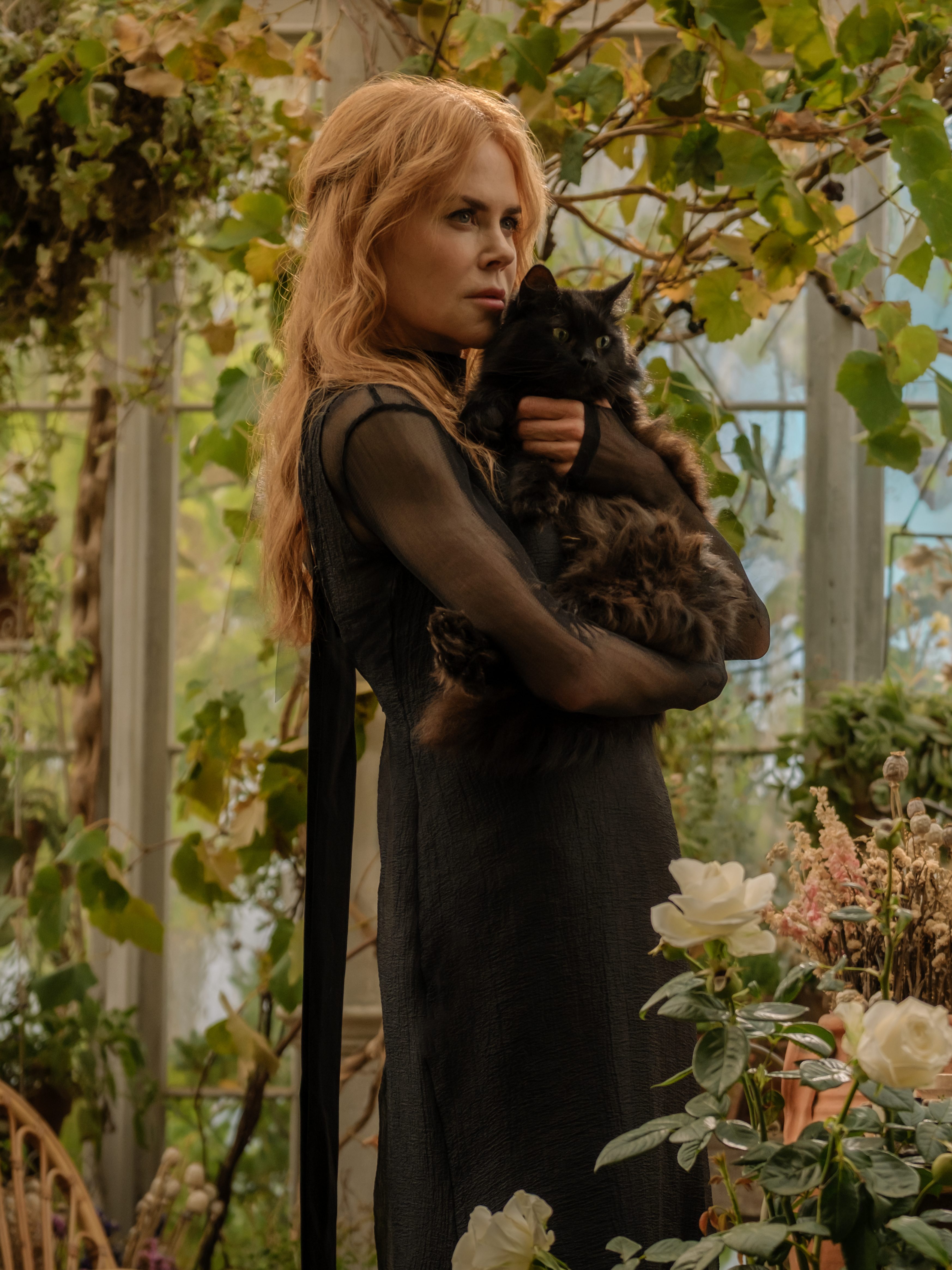 'Practical Magic 2': Release Date, Cast, Trailer & How to Watch the Sequel Movie