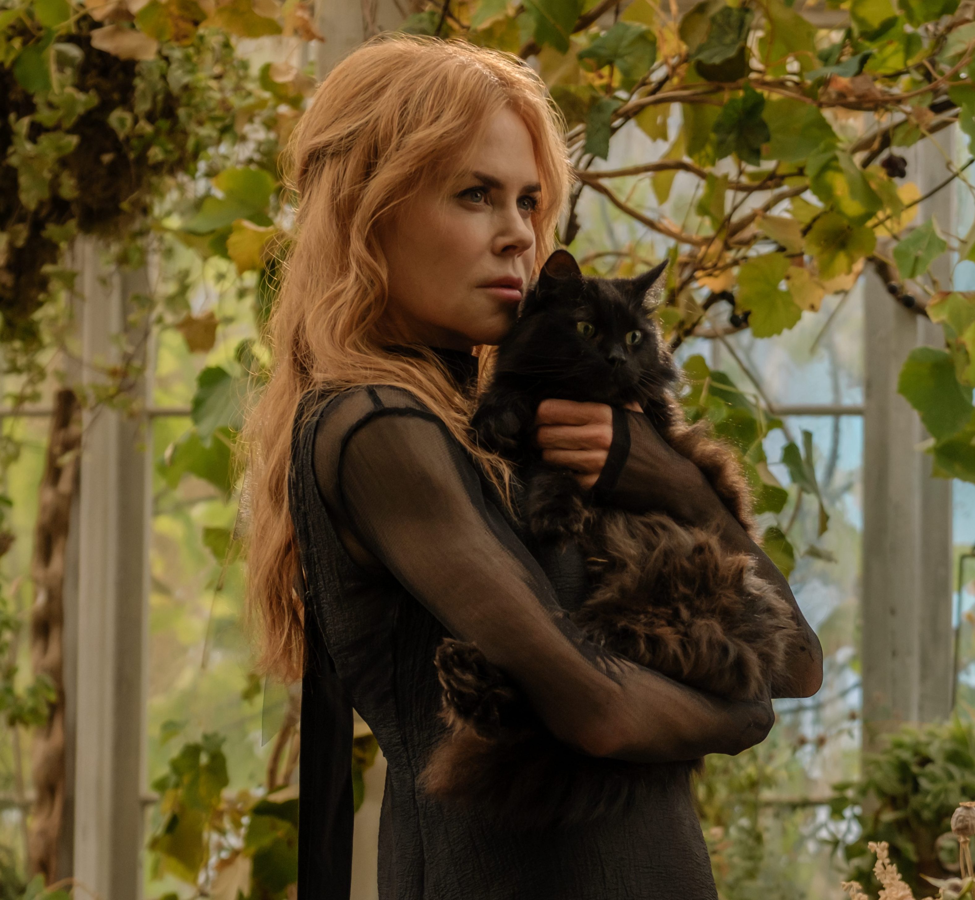 'Practical Magic 2': Release Date, Cast, Trailer & How to Watch the Sequel Movie