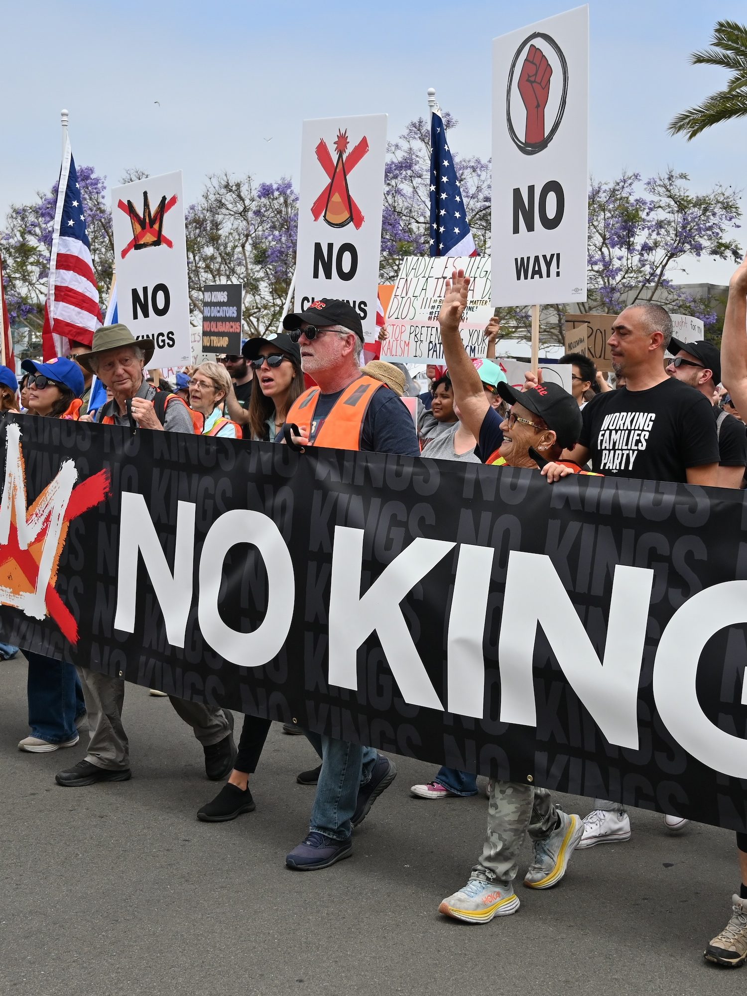 How Many People Attended the 'No Kings' Protest in America?