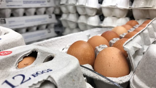 Eggs Recalled Amid Salmonella Outbreak: What to Know