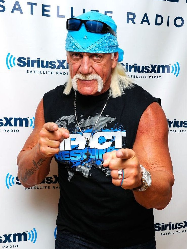 Hulk Hogan's Cause of Death Updates: How Did the Wrestler Die?