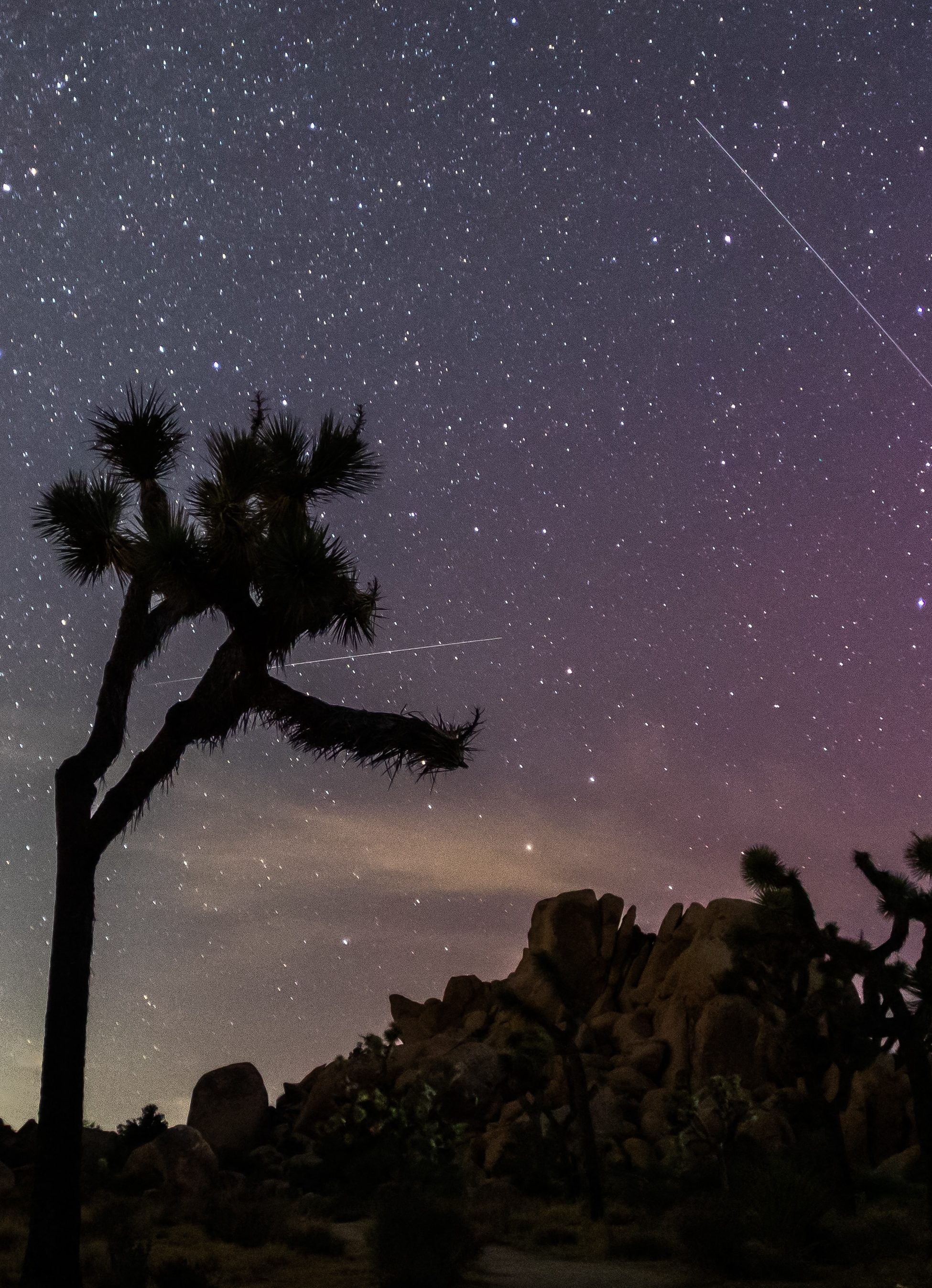 Meteor Shower August 2025: How & When to Watch the Perseids Shower