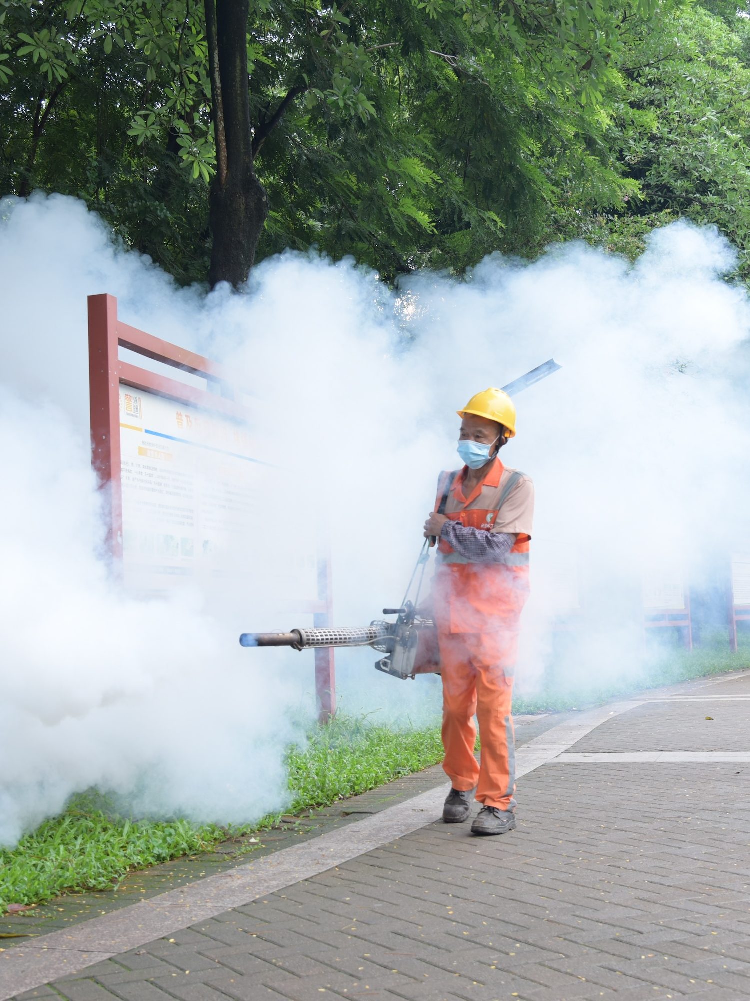 Chikungunya Virus in China: Updates on the Outbreak